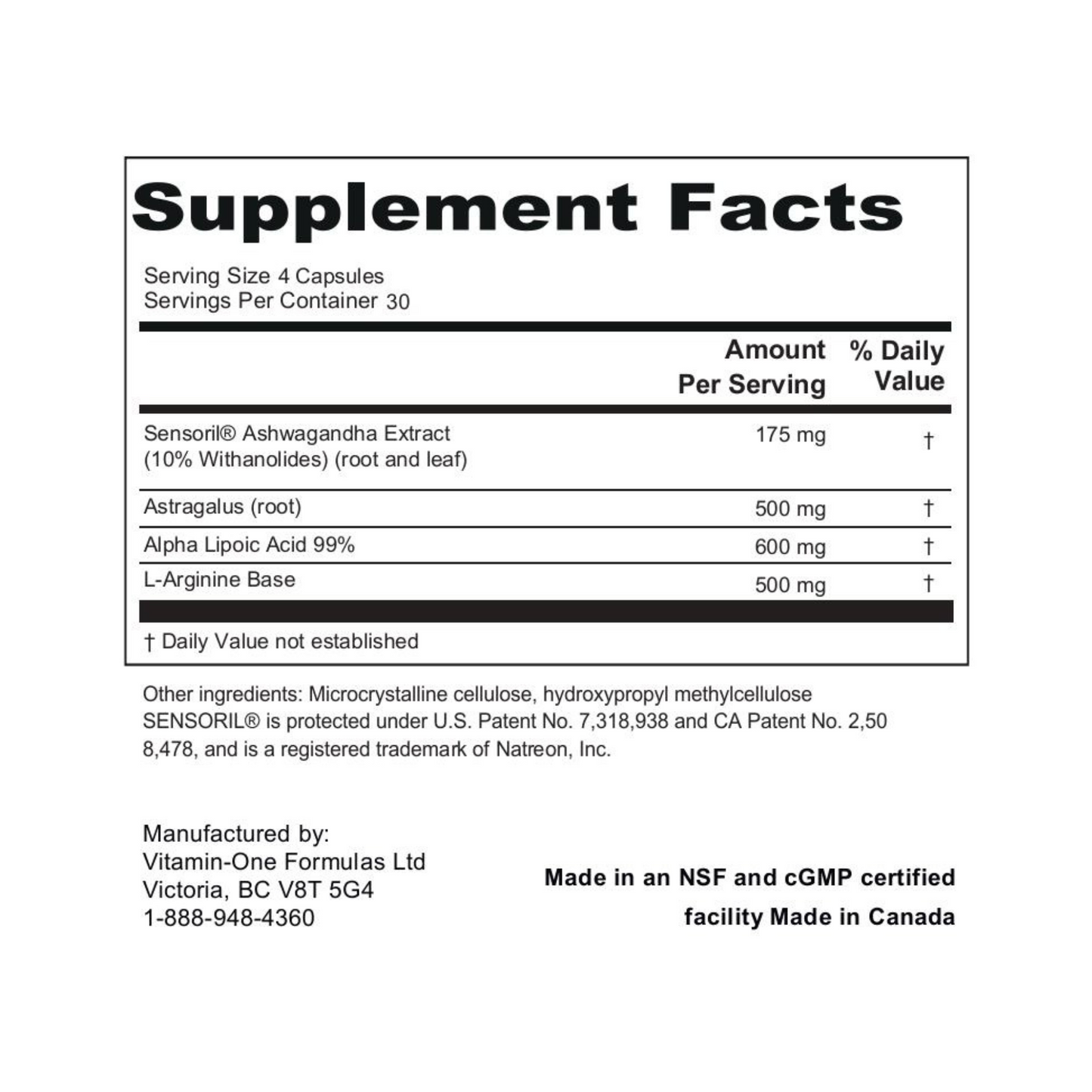 Village Wellness Plus