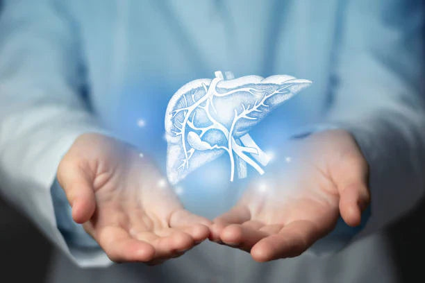 Best Vitamins to Support Kidney and Liver Health