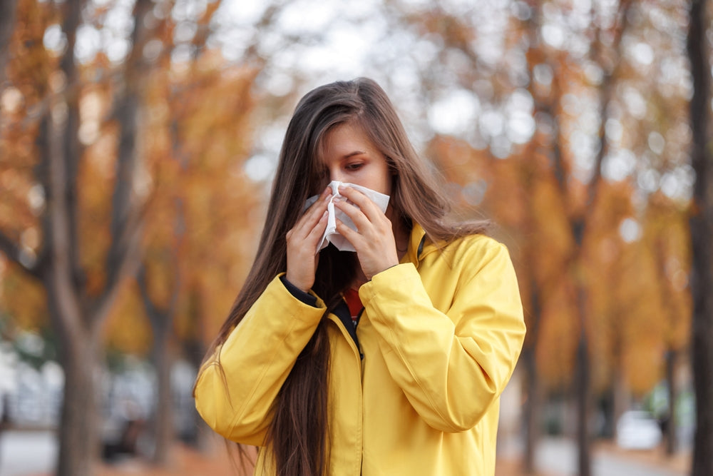 Fall Allergies Are Here: How to Find Relief This Season