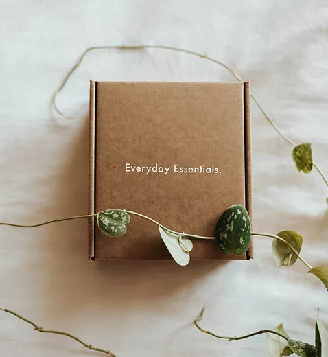 gift box with plants on a white background
